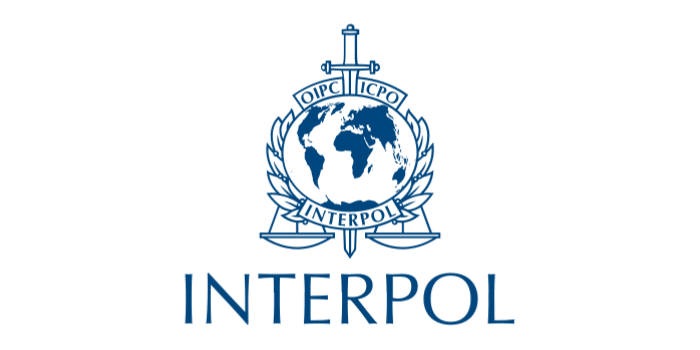 Experience Logo